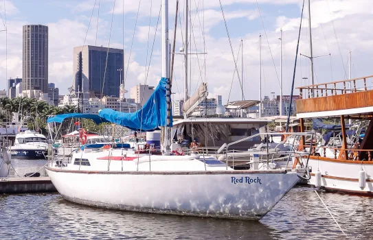 Expedição Jubarte 5